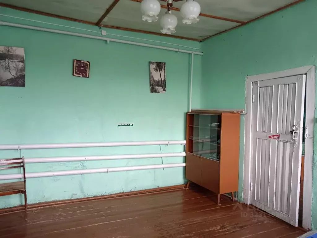 Помещение свободного назначения в Пермский край, Ординский район, д. ... - Фото 2