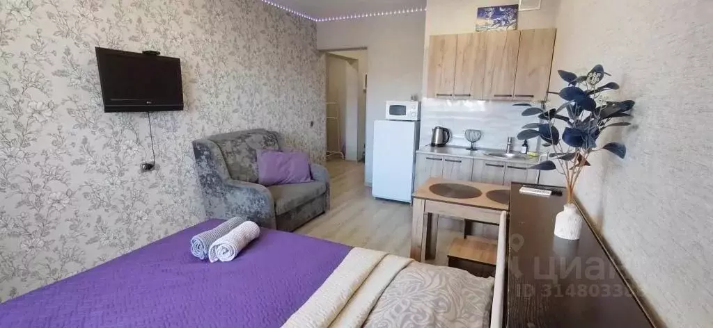 1-к кв. Иркутская область, Иркутск ул. Пискунова, 148/8 (27.0 м) - Фото 1