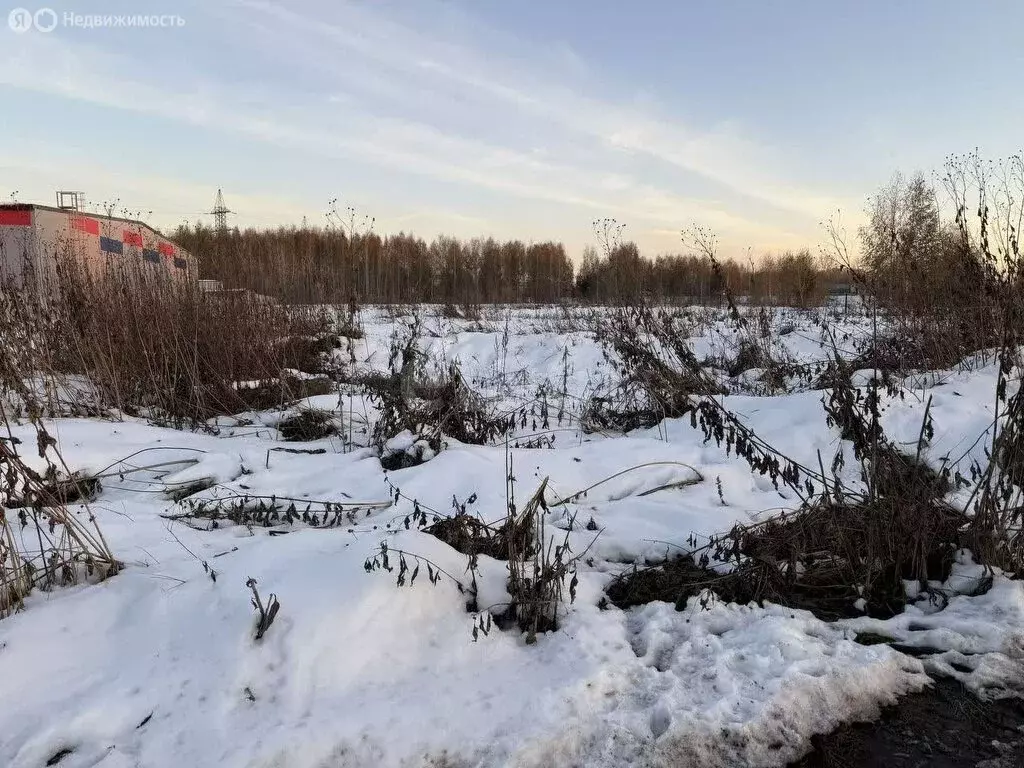 Участок в Садовый, Садовая улица (6 м) - Фото 2