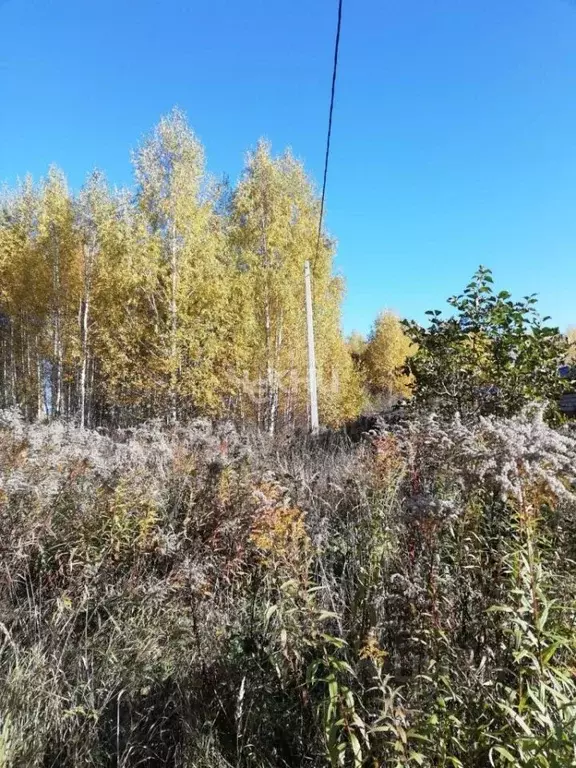 Участок в Нижегородская область, Бор городской округ, д. Марково 22 ... - Фото 1