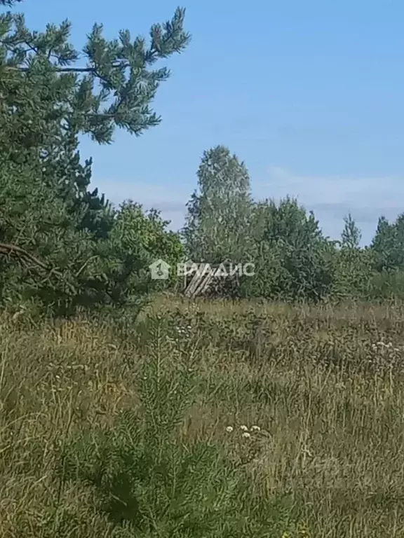 Участок в Владимирская область, Селивановский муниципальный округ, с. ... - Фото 1