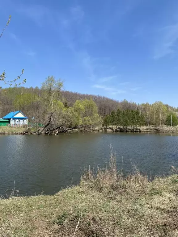 Участок в Татарстан, Верхнеуслонский район, Новорусско-Маматкозинское ... - Фото 1