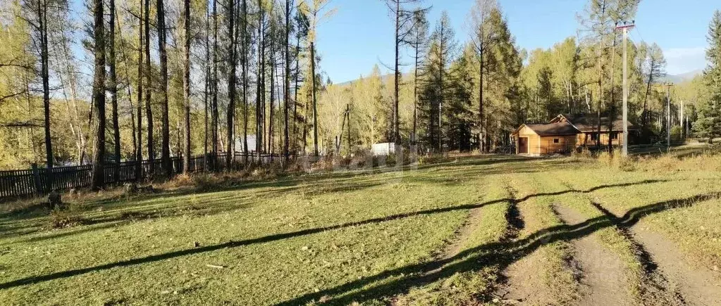 Купить Дом В Замульта Республика Алтай