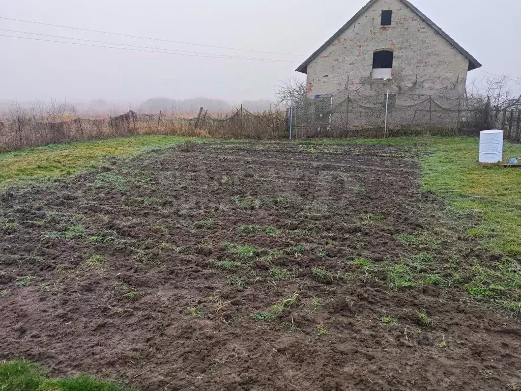 Участок в Калининградская область, пос. Загородное ул. Центральная ... - Фото 1
