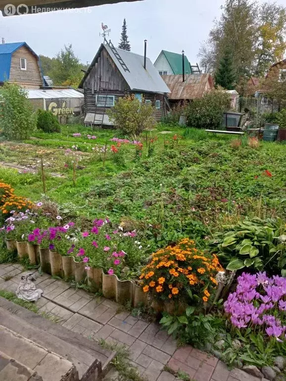 Участок в Новосибирск, СТ Берёзовая Роща (6 м) - Фото 1