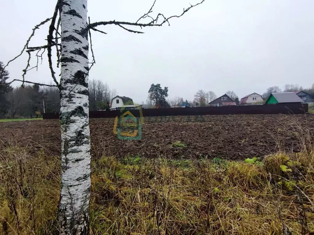 Участок в Ленинградская область, Волосовский район, Клопицкое с/пос, ... - Фото 1