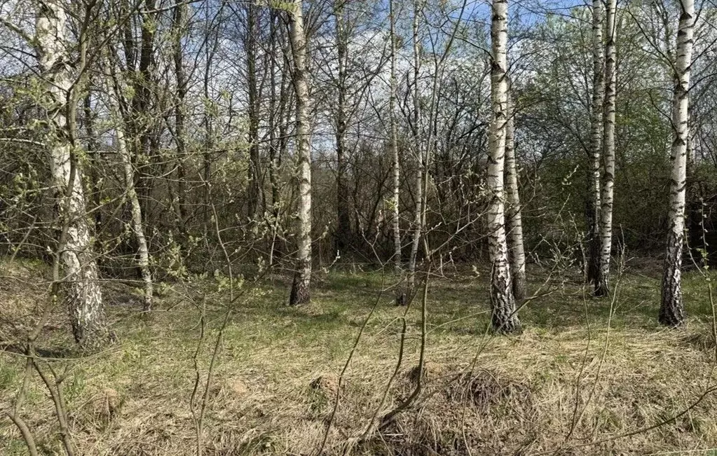Участок в Московская область, Голицыно Одинцовский городской округ, ... - Фото 1