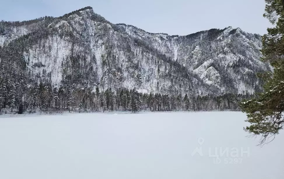 Участок в Алтай, Майминский район Р-256 Чуйский тракт, 485-й км (15.0 ... - Фото 1