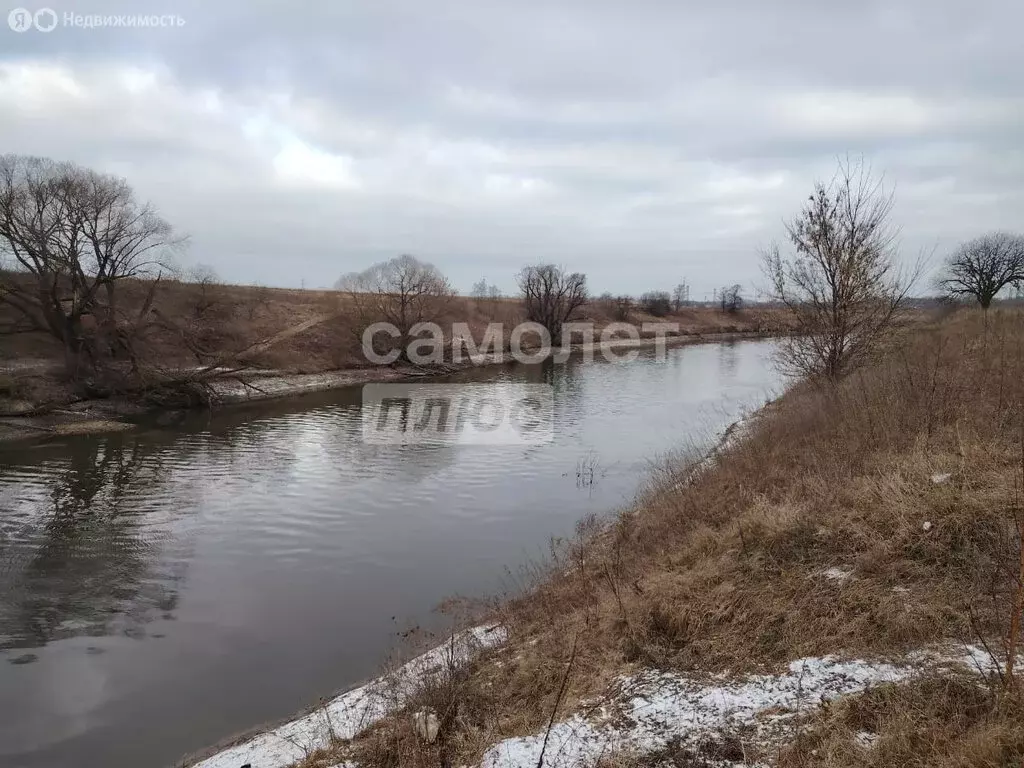 Участок в Московская область, Раменский муниципальный округ, село ... - Фото 1