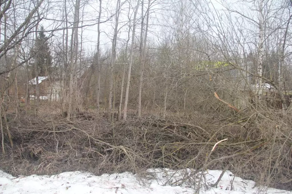 Участок в Московская область, Наро-Фоминский городской округ, Дубрава ... - Фото 2