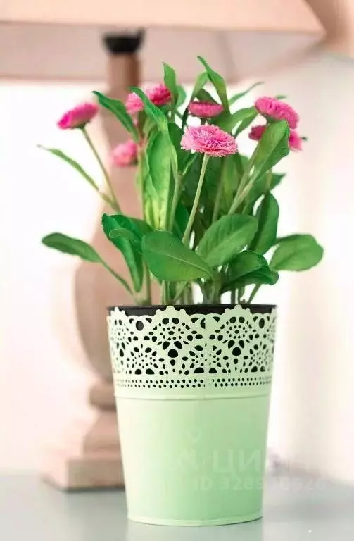 Комната Москва ул. Спиридоновка, 16С1 (8.0 м) - Фото 2