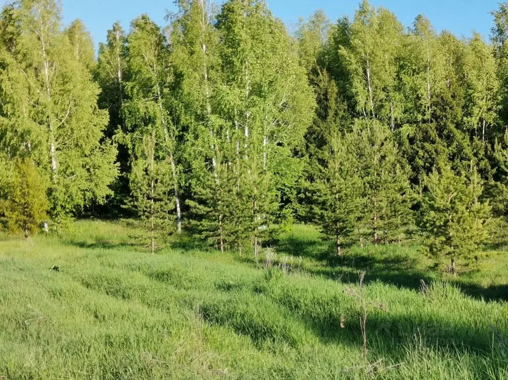 Участки в октябрьском