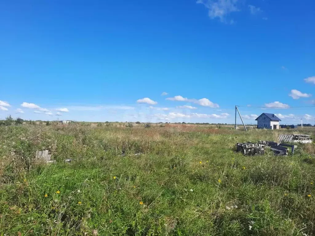 Участок в Калининградская область, Гурьевский муниципальный округ, ... - Фото 1