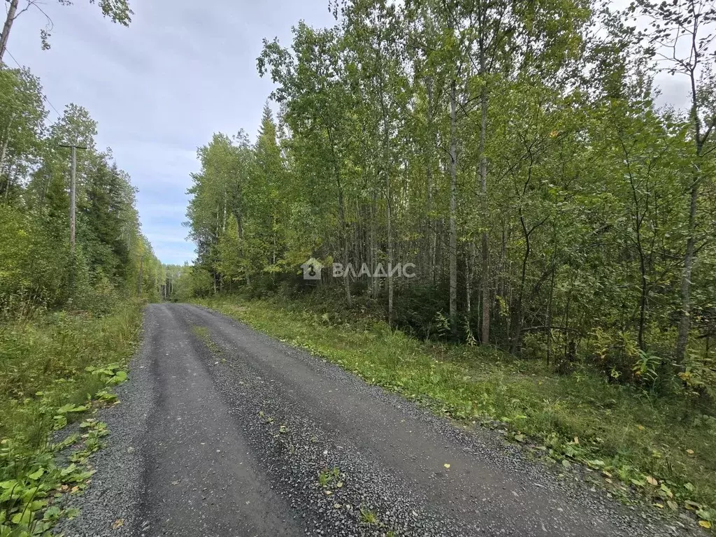 Участок в Карелия, Прионежский район, Нововилговское с/пос, Огонек СНТ ... - Фото 1