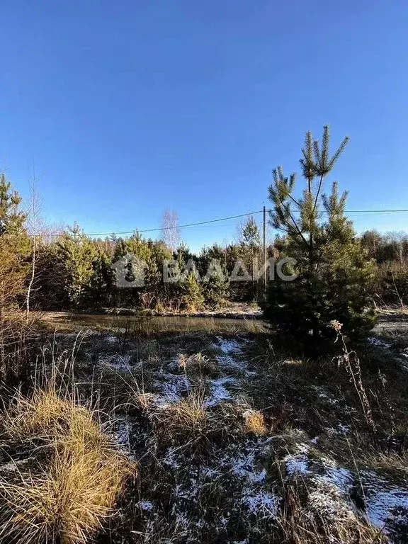 Участок в Владимирская область, Владимир д. Уварово,  (15.0 сот.) - Фото 0