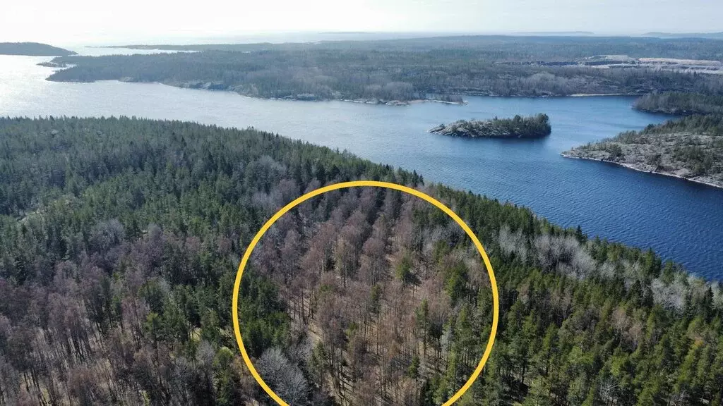 Участок в Сортавала, Комсомольская улица, 6 (240 м) - Фото 1
