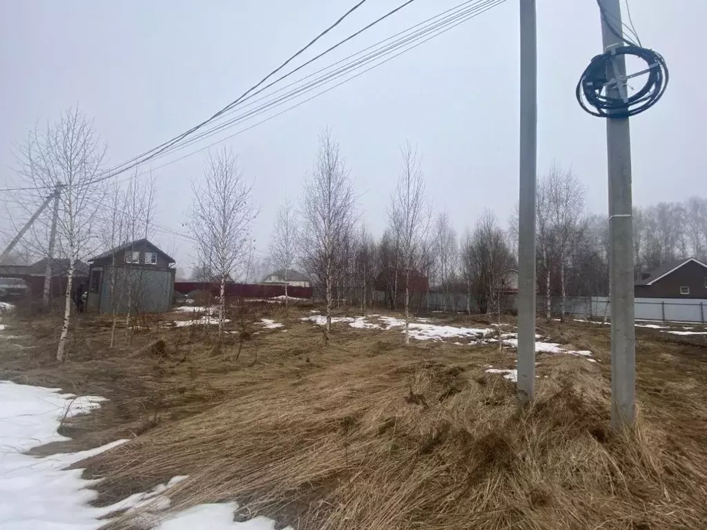 Участок в Нижегородская область, Нижний Новгород с. Шелокша, 105 (10.0 ... - Фото 2