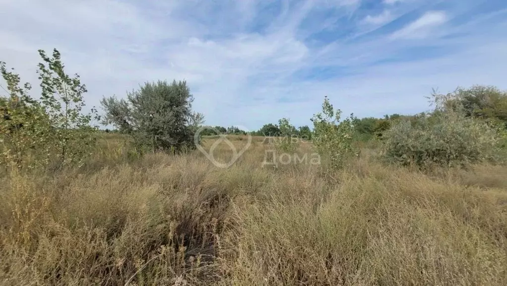 Участок в Волгоградская область, Среднеахтубинский район, Куйбышевское ... - Фото 2