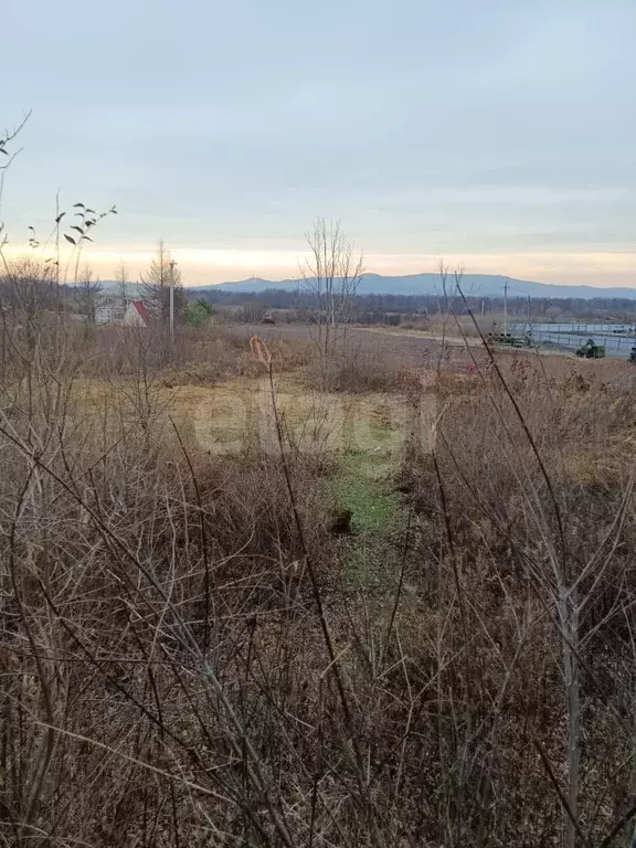 Участок, 9.8 сот., поселения (ижс) - Фото 2