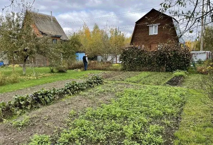 Купить Дачу В Земляне Тверь