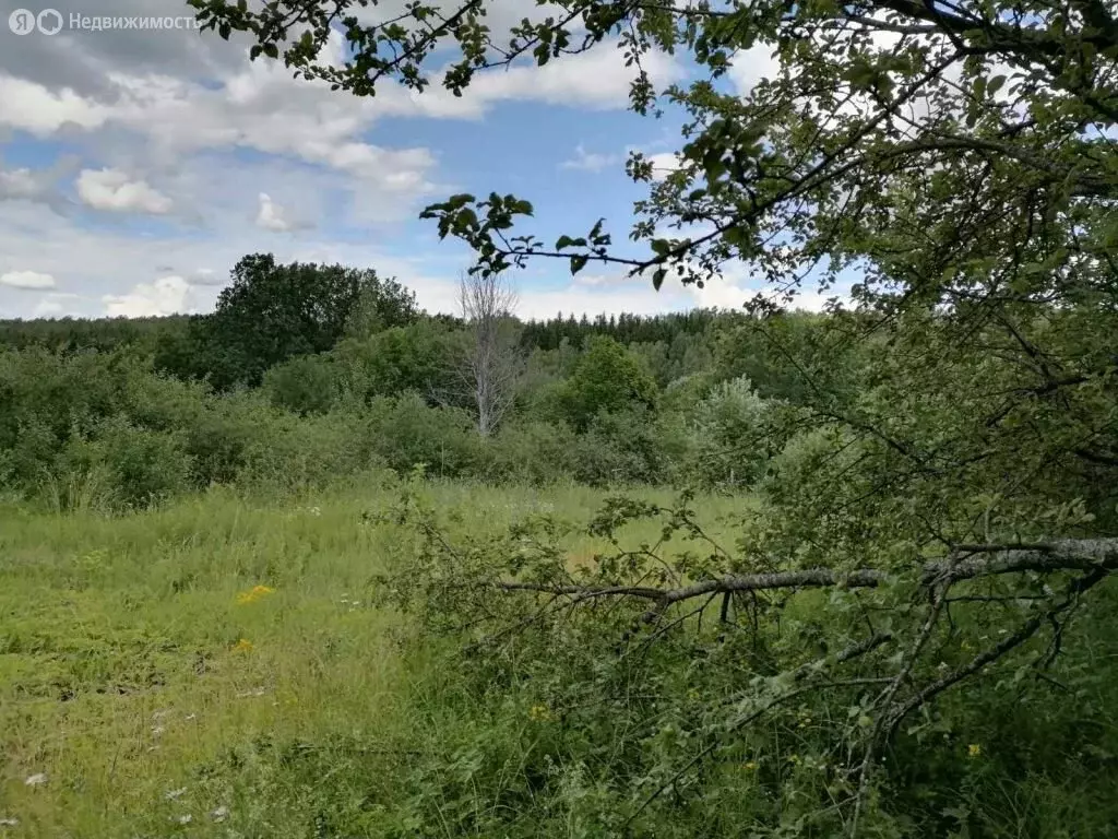 Дом в Нижегородская область, Павловский муниципальный округ, деревня ... - Фото 0