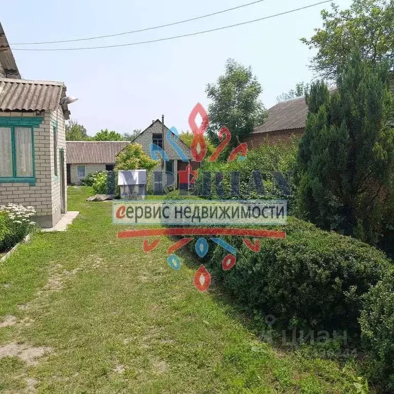 Дом в Белгородская область, Шебекинский муниципальный округ, с. Купино ... - Фото 1