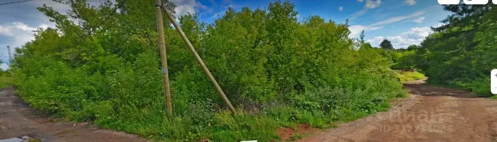 Участок в Кировская область, Котельнич ул. Земцы (30.0 сот.) - Фото 1