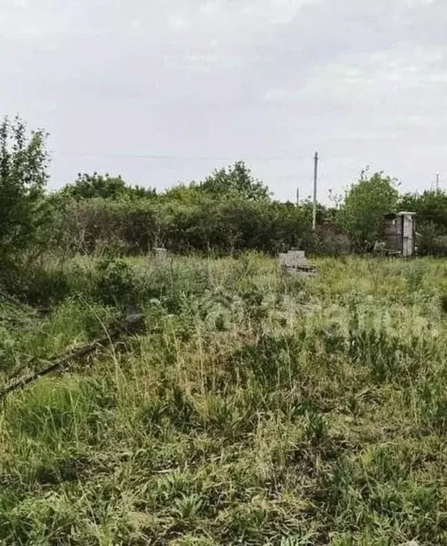 Участок в Волгоградская область, Волгоград Дзержинец СНТ, Винновский ... - Фото 0