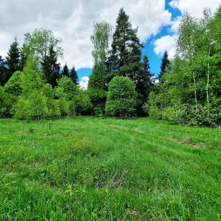 Участок в Калужская область, Совхоз Боровский с/пос, д. Сороковеть  ... - Фото 2