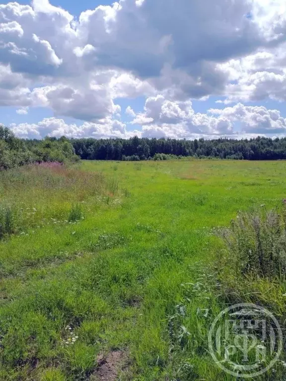 Участок в Ленинградская область, Выборгский район, Красносельское ... - Фото 1