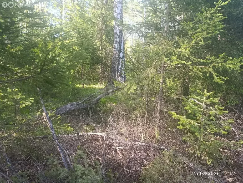 Участок в городской округ Красноярск, деревня Минино (15.8 м) - Фото 1