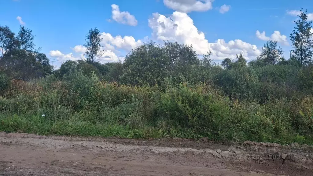 Участок в Новгородская область, Малая Вишера пос. Веселая Горка,  ... - Фото 2