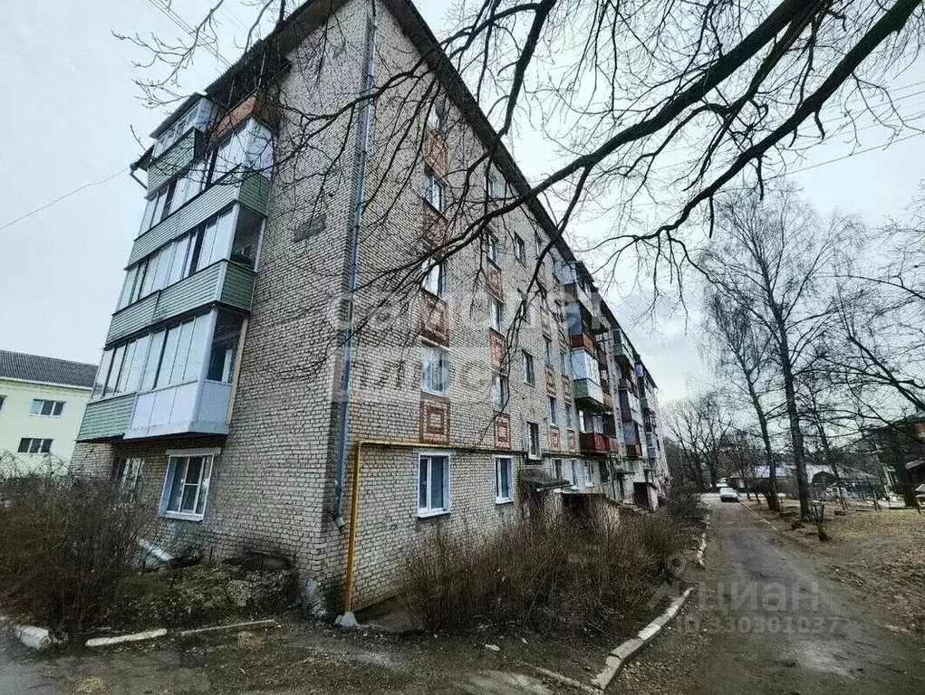 2-к кв. Владимирская область, Кольчугино ул. Чапаева, 1В (41.1 м) - Фото 1
