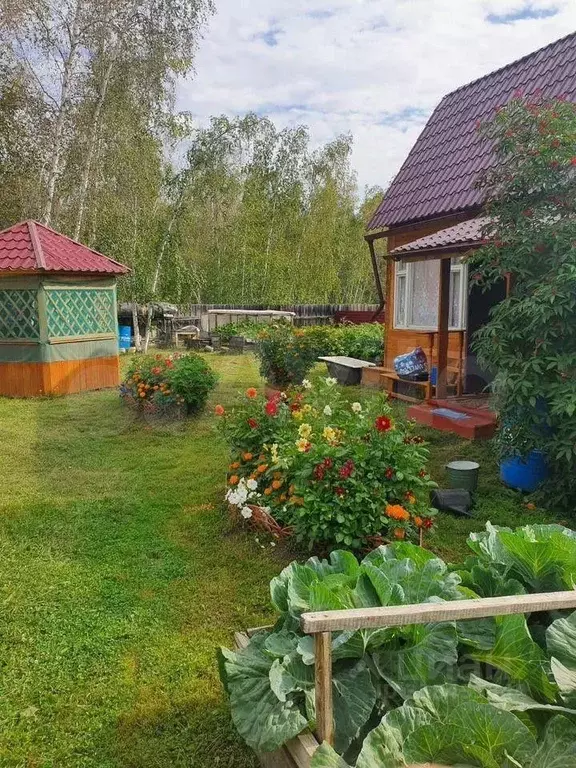 Дом в Саха (Якутия), Якутск городской округ, с. Маган  (37 м) - Фото 0