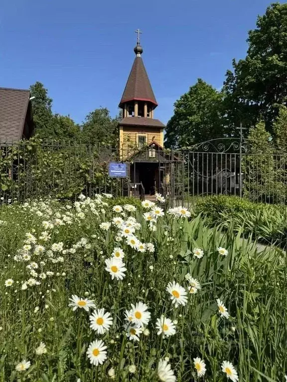 2-к кв. Ленинградская область, Всеволожский район, Колтушское ... - Фото 2