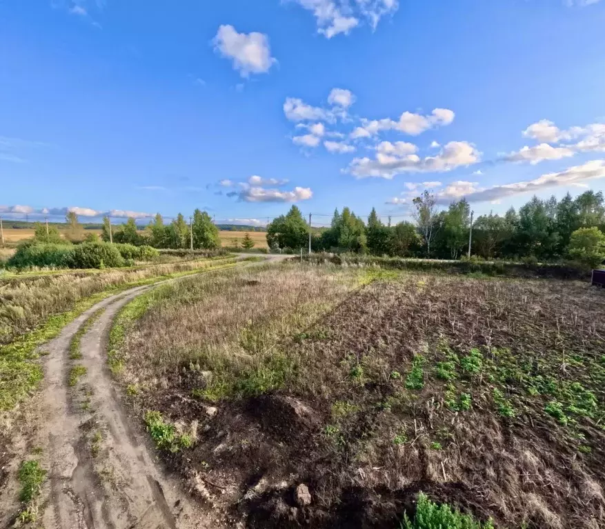 Участок в Московская область, Клин городской округ, д. Темново ул. ... - Фото 1
