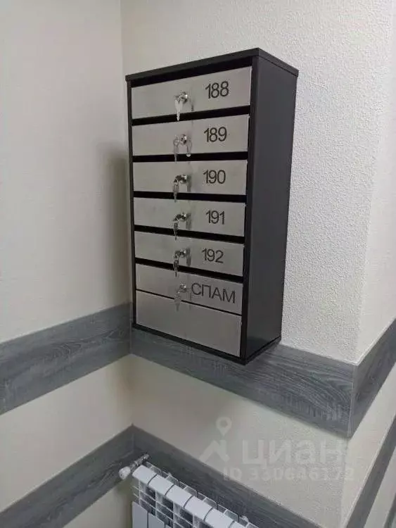 Студия Омская область, Омск ул. Богдана Хмельницкого, 38/2 (31.3 м) - Фото 2