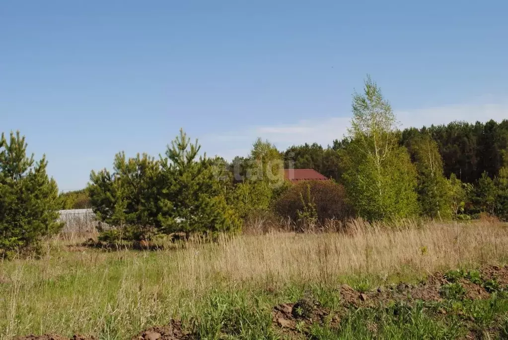 Участок в Новосибирская область, Новосибирский район, Морской ... - Фото 0