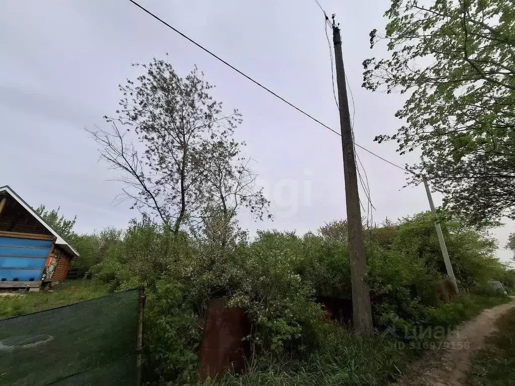 Участок в Белгородская область, Белгородский район, Северный городское ... - Фото 1