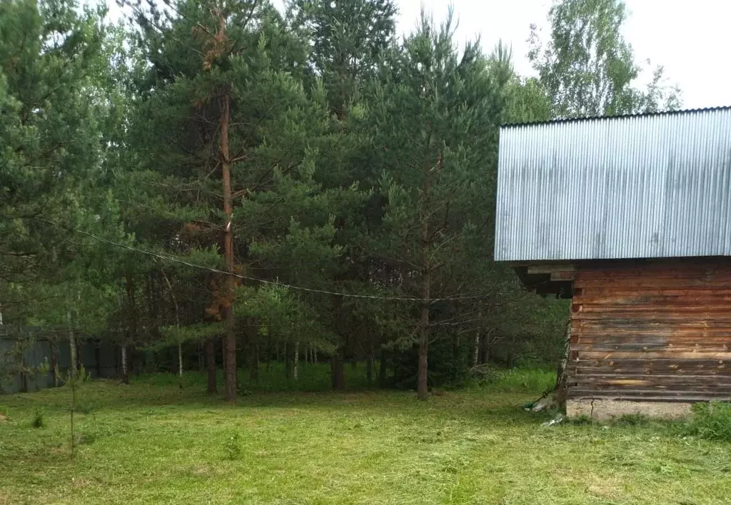 участок в владимирская область, александровский район, каринское . - Фото 0