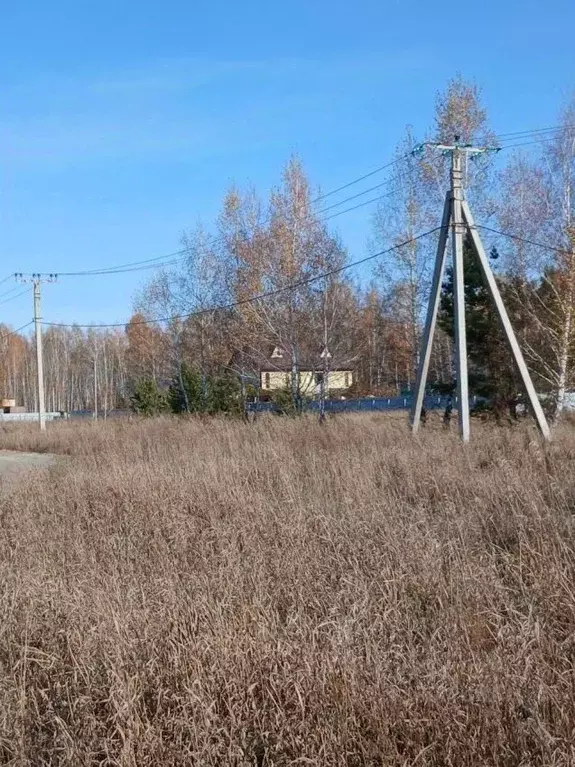 Участок в Курганская область, Кетовский муниципальный округ, д. Лукино ... - Фото 2