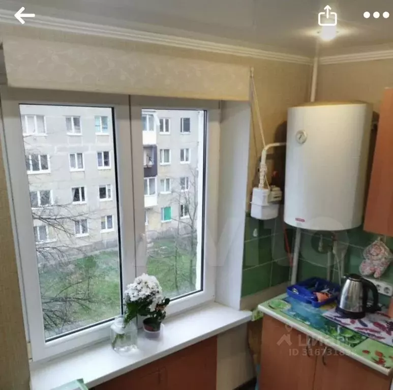 1-к кв. Калининградская область, Балтийск ул. Ушакова, 24 (30.6 м) - Фото 1