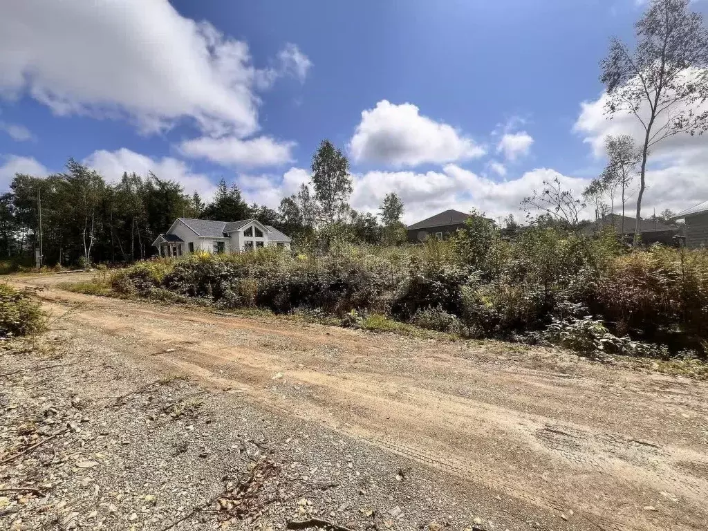 Участок в Сахалинская область, Южно-Сахалинск Целина СНТ,  (10.0 сот.) - Фото 2