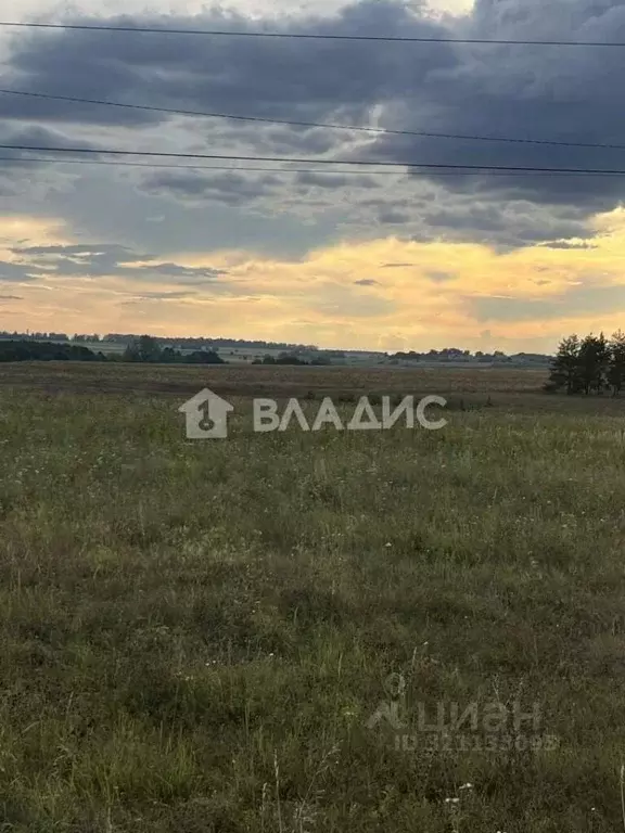 Участок в Пензенская область, с. Бессоновка, Рябинушка садоводческое ... - Фото 2
