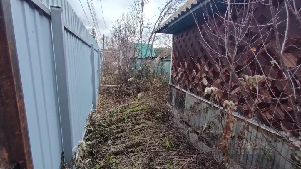 Участок в Новосибирская область, Новосибирск Сибирский Мичуринец СНТ, ... - Фото 2