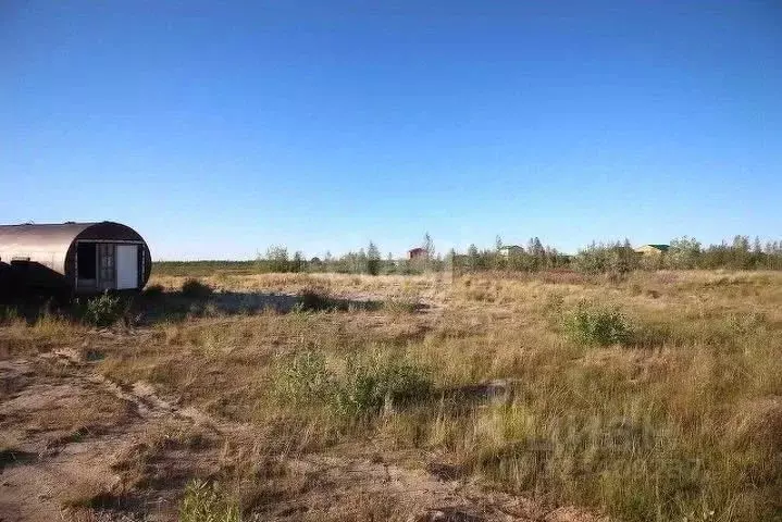 Участок в Ямало-Ненецкий АО, Новый Уренгой Уралец мкр, МК-144 кв-л,  ... - Фото 1