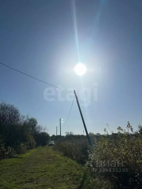 Участок в Новосибирская область, Искитимский район, Мичуринский ... - Фото 1