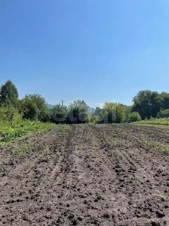 Участок в Кемеровская область, Новокузнецкий муниципальный округ, пос. ... - Фото 1
