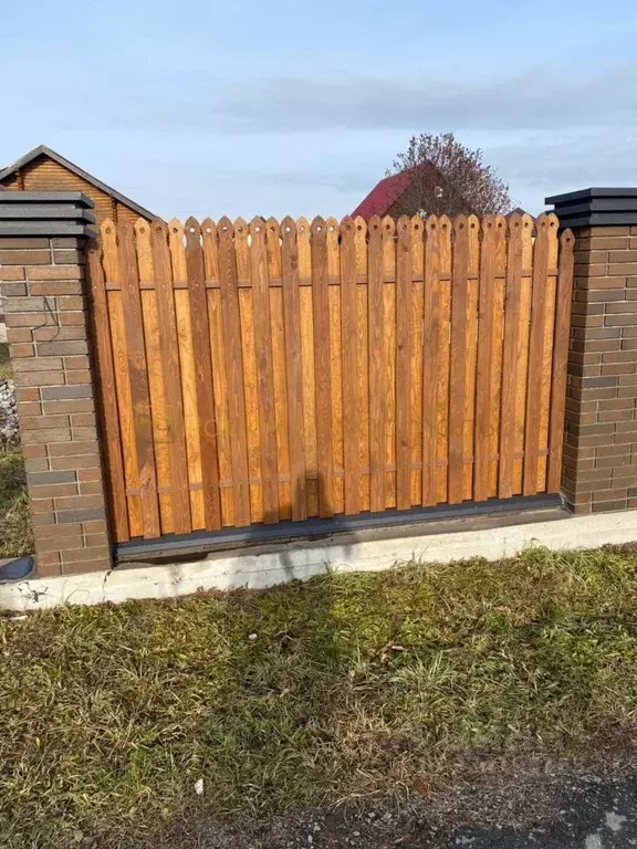 Участок в Новосибирская область, Новосибирский район, Кубовинский ... - Фото 1