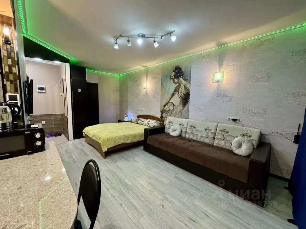 1-к кв. Самарская область, Самара Крутые Ключи мкр, ул. Мира, 41 (30.0 ... - Фото 0